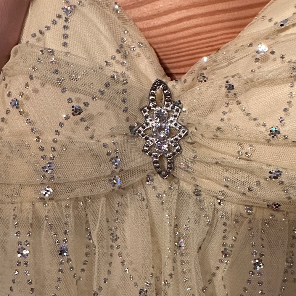 Windsor Cream Strapless Dress with Silver Details - Picture 3 of 6